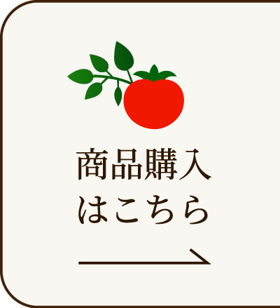 商品購入はこちら