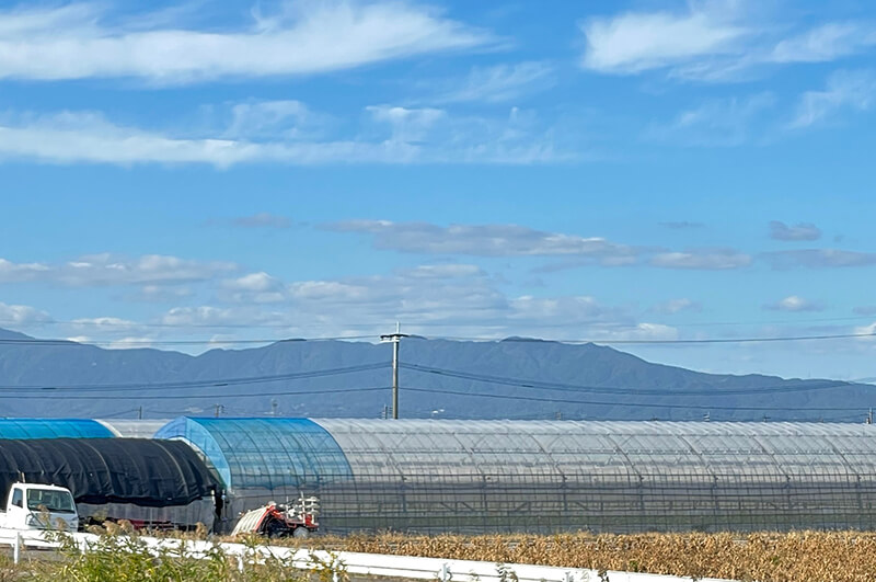 ハウス外からの写真